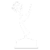 The Emmy Awarded company
